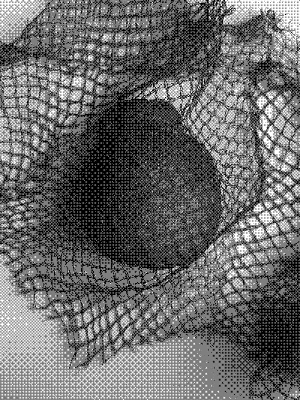 orange under a red orange bag